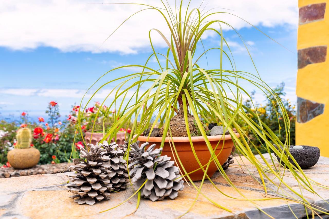 El Palmeral Tinizara Exteriér fotografie