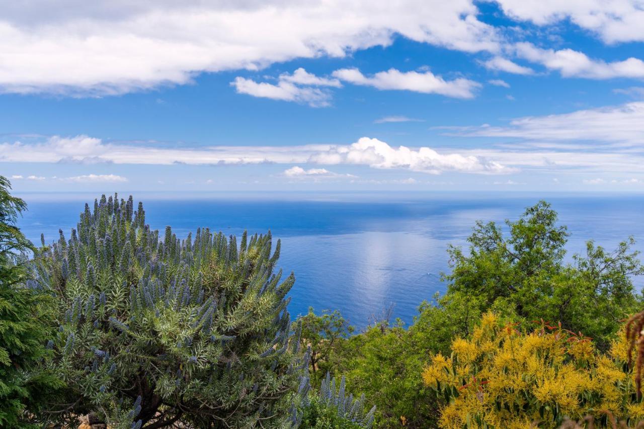 El Palmeral Tinizara Exteriér fotografie