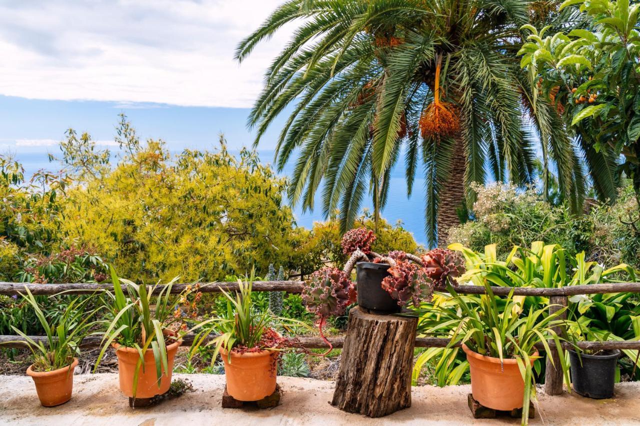El Palmeral Tinizara Exteriér fotografie